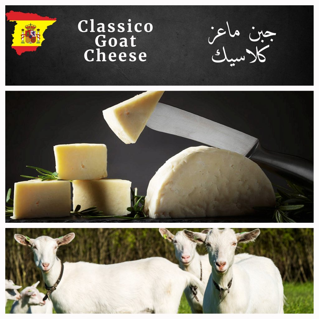 JazzGlobal Cheese products 2023-13