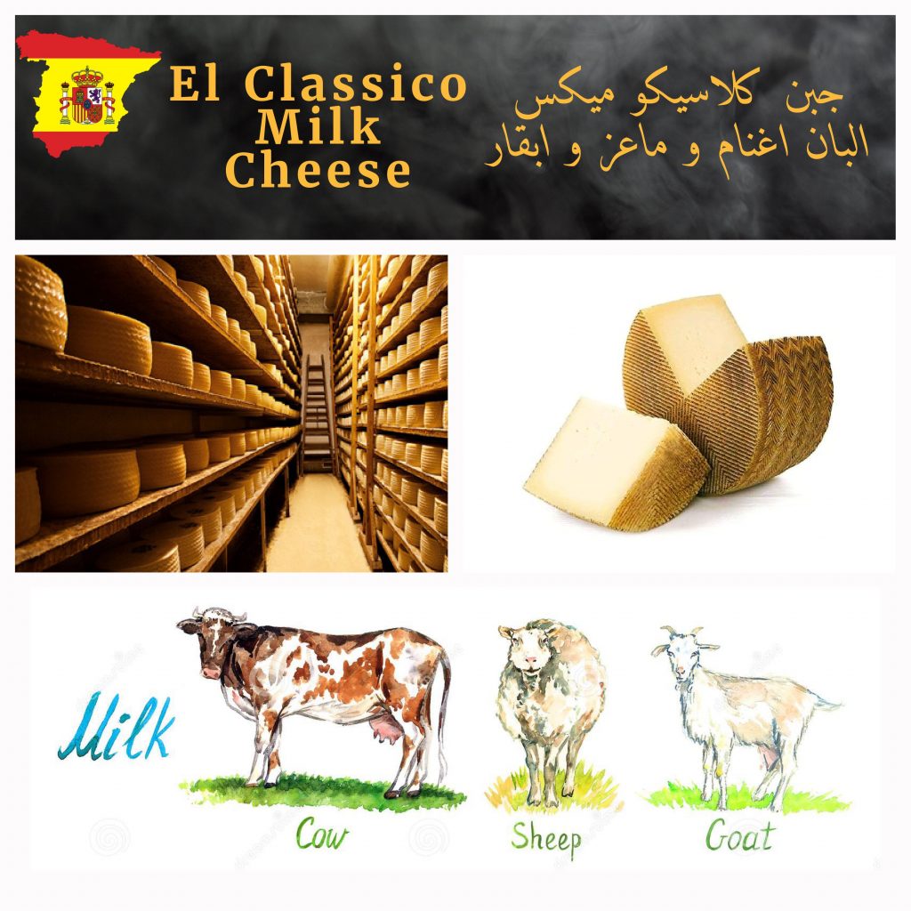 JazzGlobal Cheese products 2023-14