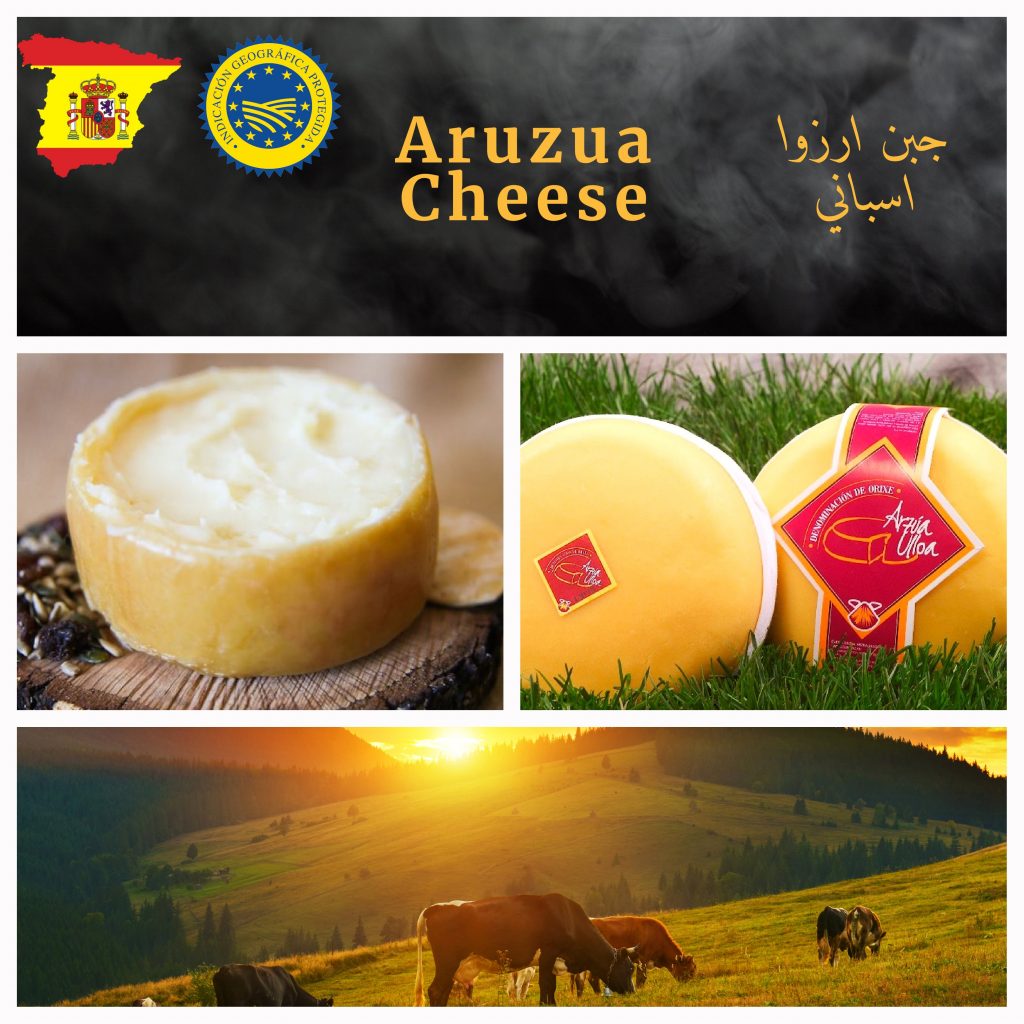 JazzGlobal Cheese products 2023-18
