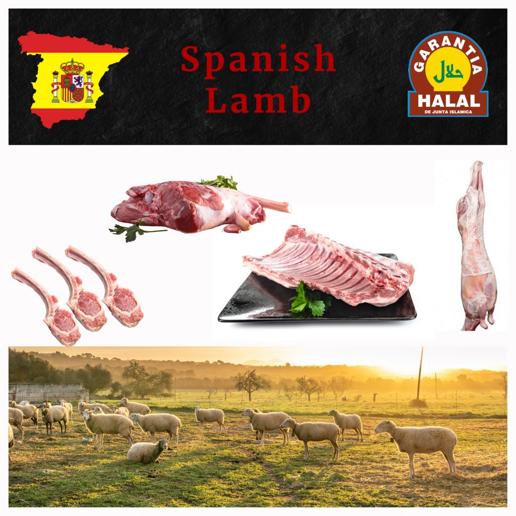 Meat products JazzGlobal Spain-3