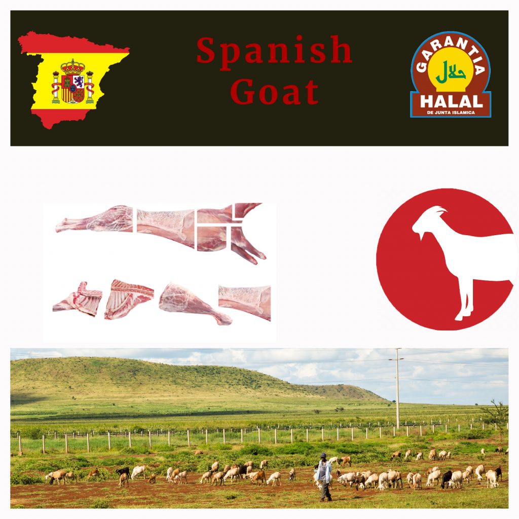 Meat products JazzGlobal Spain-4