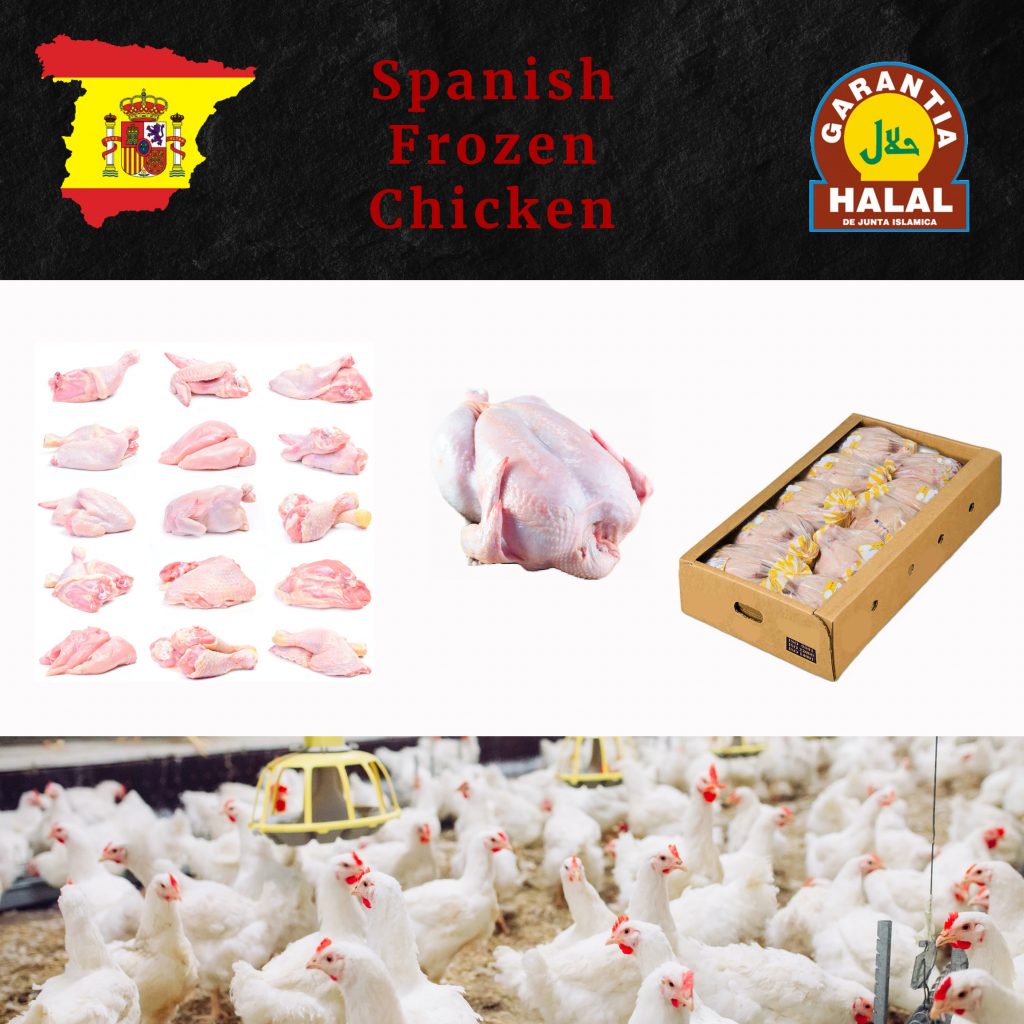 Meat products JazzGlobal Spain-5